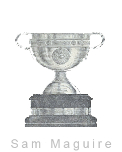 The Sam Maguire Image of the Sam Maguire Cup