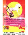 Circus Poster 19
