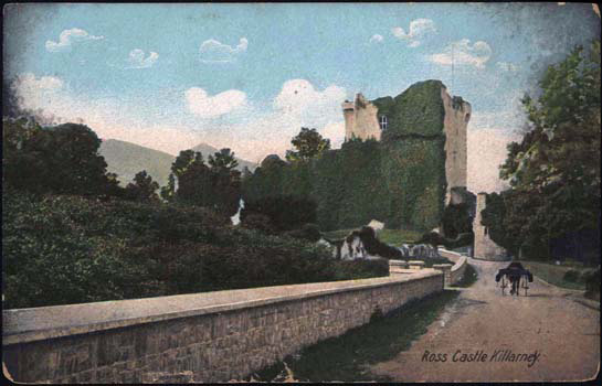 Castle 3 Ross Castle, Killarney
