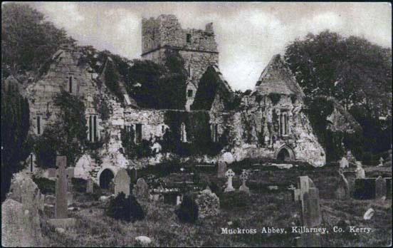 Abbey 3 Muckross Abbey, Killarney