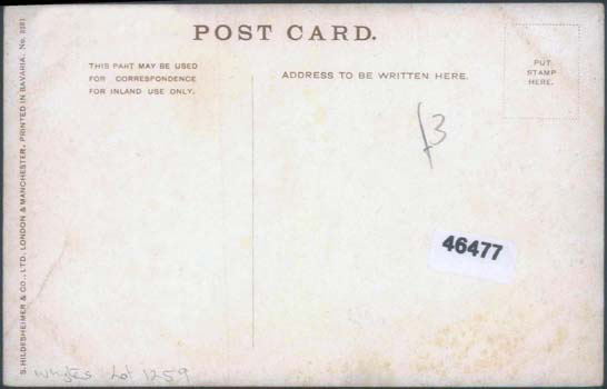 Brickeen Bridge Postcard 01018