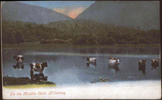 On the Middle Lake, Killarney