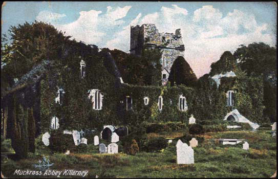 Muckross Abbey, Killarney, Kerry