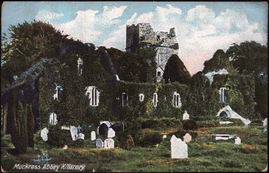 Abbey 6 Muckross Abbey, Killarney, Kerry