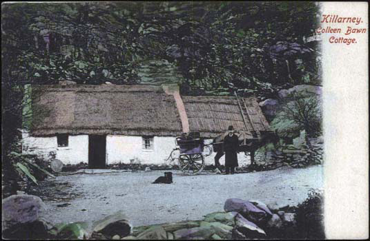 cottage 2 Colleen Bawn Cottage