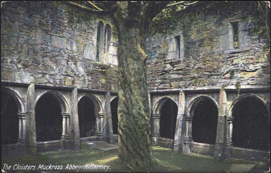 Abbey 1 The Cloisters