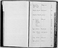 index of ledgers