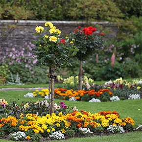 Sunken Gardens